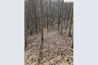 733 Clark Swift Road, Vilas, NC 28692 - Photo 21