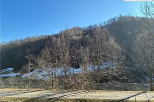 838 Rock Creek Rd, Creston, NC 28615 - Photo 3