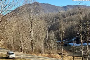 838 Rock Creek Rd, Creston, NC 28615 - Photo 5