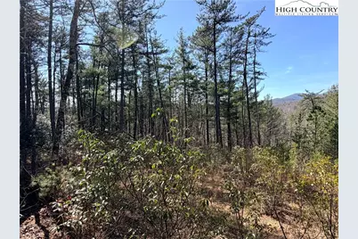 Tbd (Lot 18) Hidden Creek Road, Deep Gap, NC 28618 - Photo 9