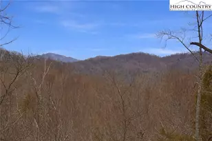 Lot 92 Beaver Dam Rd, Elk Park, NC 28622 - Photo 1