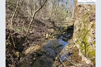 667 Pads Road, Wilkesboro, NC 28697 - Photo 3