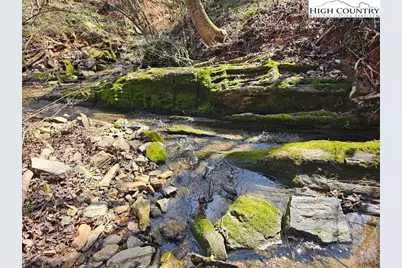 667 Pads Road, Wilkesboro, NC 28697 - Photo 15