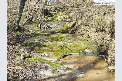 667 Pads Road, Wilkesboro, NC 28697 - Photo 5