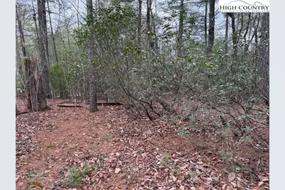 Lot 82 Deer Antler Drive, Purlear, NC 28665 - Photo 11
