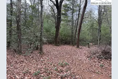 Lot 82 Deer Antler Drive, Purlear, NC 28665 - Photo 5