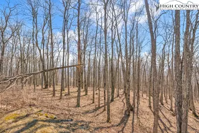 Lot 86 Elk Mountain Parkway, Todd, NC 28684 - Photo 15