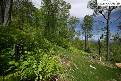 Es76 Lands End Trail, Banner Elk, NC 28604 - Photo 3