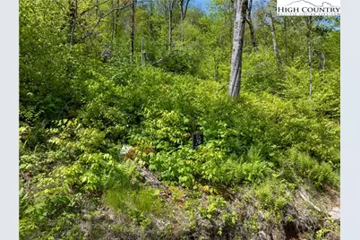 Es76 Lands End Trail, Banner Elk, NC 28604 - Photo 17