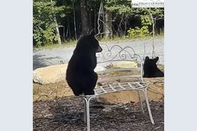 211 & 213 Wild Daisy Lane, Banner Elk, NC 28604 - Photo 31