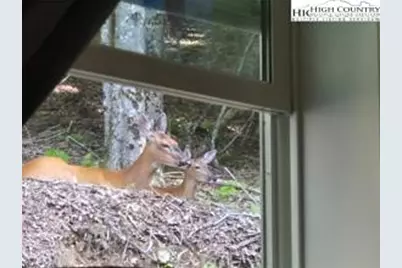 211 & 213 Wild Daisy Lane, Banner Elk, NC 28604 - Photo 33