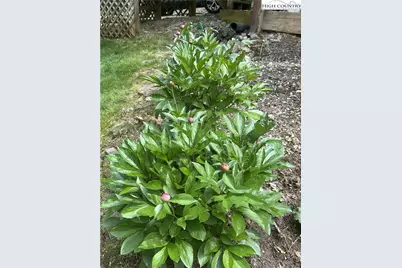 214 Deer Ridge Road, Crumpler, NC 28617 - Photo 37