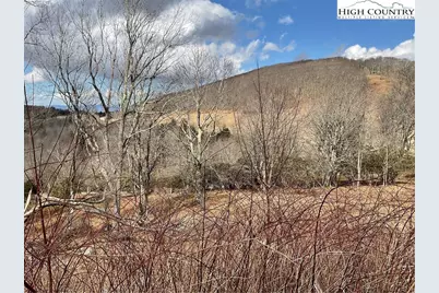 Lot 55 Foxfire Drive, Banner Elk, NC 28604 - Photo 5