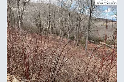 Tbd Foxfire Drive, Banner Elk, NC 28604 - Photo 3