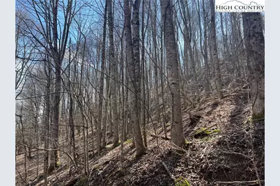 Tbd Hart Road, Lansing, NC 28643 - Photo 3