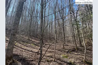 Tbd Hart Road, Lansing, NC 28643 - Photo 1