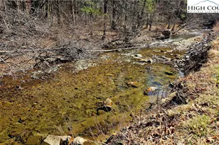 8043 N Old Nc Hwy 16, Millers Creek, NC 28651 - Photo 41