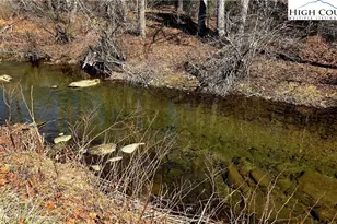 8043 N Old Nc Hwy 16, Millers Creek, NC 28651 - Photo 43