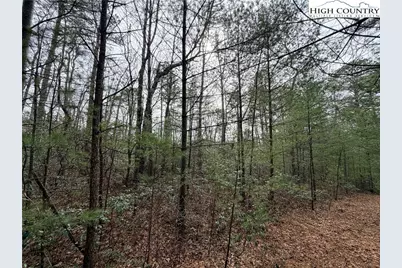 Tbd (Lot 4) Wolf Den Lane, Lenoir, NC 28645 - Photo 9