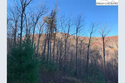 Tbd (Lot 19) Wolf Den Lane, Lenoir, NC 28645 - Photo 5