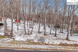 1417 Black Bear Inn Rd, West Jefferson, NC 28694 - Photo 27