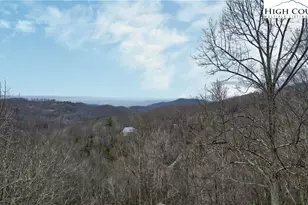 167 Rhododendron Dr, Beech Mountain, NC 28604 - Photo 43