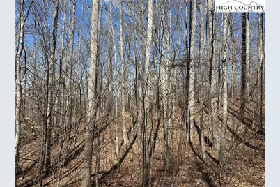 Tbd Woodland Ridge, Lansing, NC 28643 - Photo 7