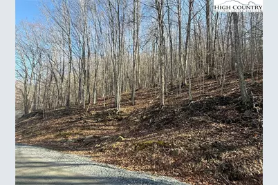 134 Locust Ridge Road, Beech Mountain, NC 28604 - Photo 5