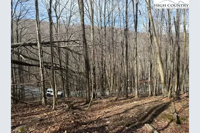 134 Locust Ridge Road, Beech Mountain, NC 28604 - Photo 9