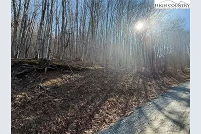 134 Locust Ridge Road, Beech Mountain, NC 28604 - Photo 3