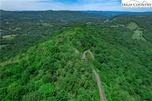 C603 Buffalo Nvno, Zionville, NC 28698 - Photo 1