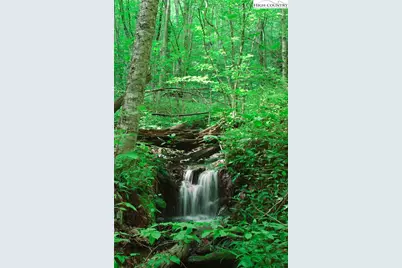 C603 Buffalo Nvno, Zionville, NC 28698 - Photo 49