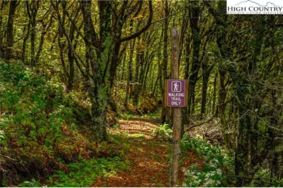 C603 Buffalo Nvno, Zionville, NC 28698 - Photo 47