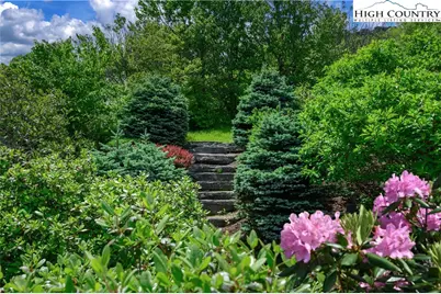 C603 Buffalo Nvno, Zionville, NC 28698 - Photo 45