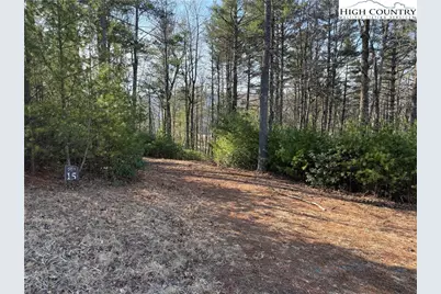 Tbd Walden Lane, West Jefferson, NC 28694 - Photo 1