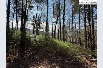 Tbd Walden Lane, West Jefferson, NC 28694 - Photo 3