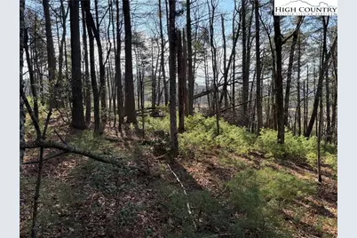 Tbd Walden Lane, West Jefferson, NC 28694 - Photo 5