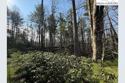 Tbd Walden Lane, West Jefferson, NC 28694 - Photo 11