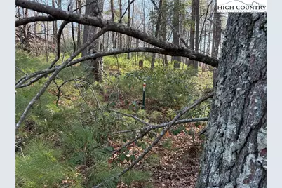 Tbd Walden Lane, West Jefferson, NC 28694 - Photo 13