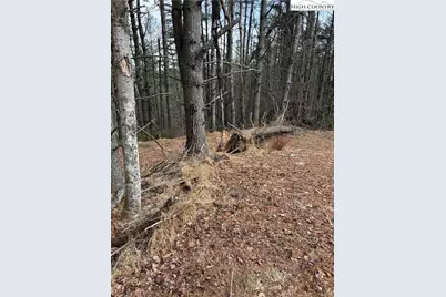 Tbd Pritchard Road, West Jefferson, NC 28694 - Photo 7