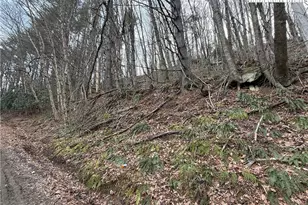 Tbd Pritchard Rd, West Jefferson, NC 28694 - Photo 1