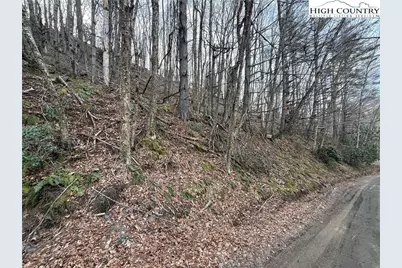 Tbd Pritchard Road, West Jefferson, NC 28694 - Photo 5