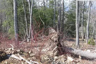 Vr-33 Red Sky, Banner Elk, NC 28604 - Photo 1