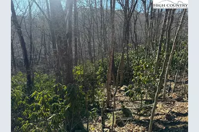 0 Gumtree Road, Beech Mountain, NC 28604 - Photo 3