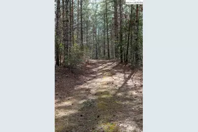 000 Narrow Gauge Drive #22, Collettsville, NC 28645 - Photo 7