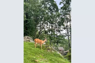 Lot 94 Eagles Nest Trail, Banner Elk, NC 28604 - Photo 29