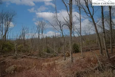 S-103 Talon Trail, Banner Elk, NC 28604 - Photo 9