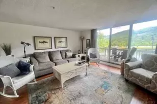 1040 Sugar Mountain Dr, Sugar Mountain, NC 28604 - Photo 11