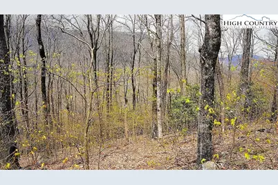 Tbd Fairway Ridge Drive, West Jefferson, NC 28694 - Photo 1