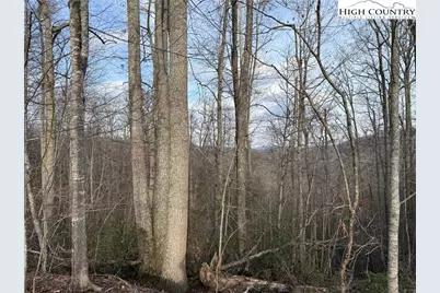 0 White Fawn Drive, Spruce Pine, NC 28777 - Photo 3